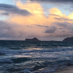 Meet your Posher, Kristin